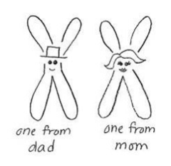 X-Chromosome.